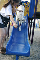 Mom and Lily playing on the slide