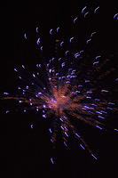 CRW_9429sm.jpg