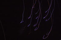 CRW_9456sm.jpg