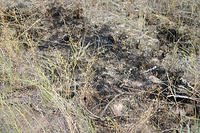 Where the fire was on the 4th.