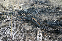 Where the fire was on the 4th.