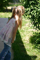 Carrie checking on baby birds