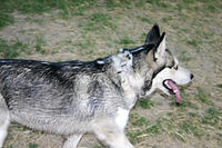 IMG_0123a.jpg