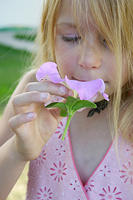 IMG_0187a.jpg