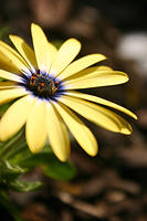 IMG_0191a.jpg