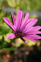 IMG_0193a.jpg