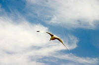 IMG_0198a