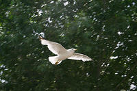IMG_0199a