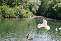 IMG_0200a