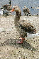 IMG_0201a