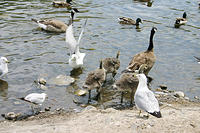 IMG_0203a