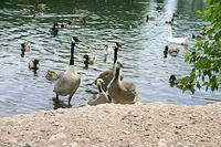 IMG_0204a