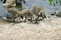 IMG_0205a