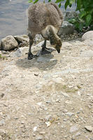 IMG_0207a
