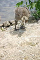 IMG_0208s