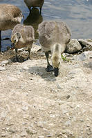 IMG_0209a