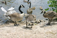 IMG_0210a