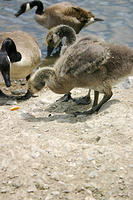 IMG_0211a