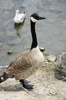 IMG_0212a
