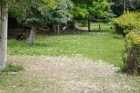 IMG_0213a