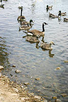 IMG_0214a