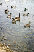 IMG_0215a