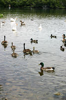 IMG_0216a