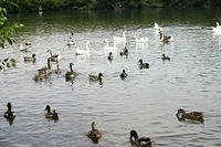 IMG_0217a