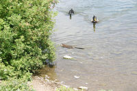 IMG_0218a