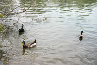 IMG_0219a