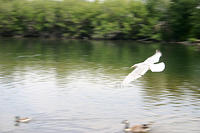IMG_0220a