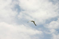 IMG_0221a