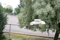 IMG_0225a