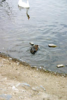 IMG_0228a