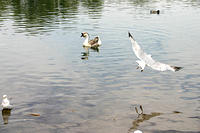 IMG_0232a