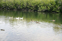 IMG_0233a