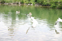 IMG_0235a
