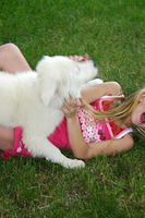 IMG_0240a