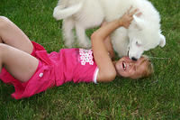 IMG_0241a