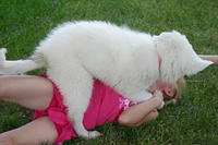 IMG_0242a