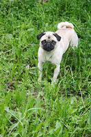 IMG_0033a