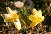 March 2007