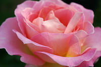 IMG_9600a