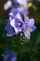 IMG_9605a