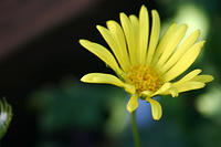 IMG_9617a