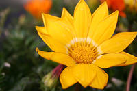 IMG_9624a