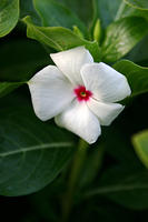 IMG_9626a