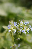 IMG_9632a