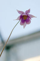 IMG_9646a