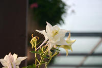 IMG_9647a